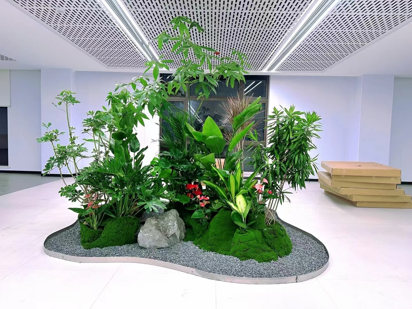 余姚盆景租摆哪家好?这份指南助你找到心仪之选!